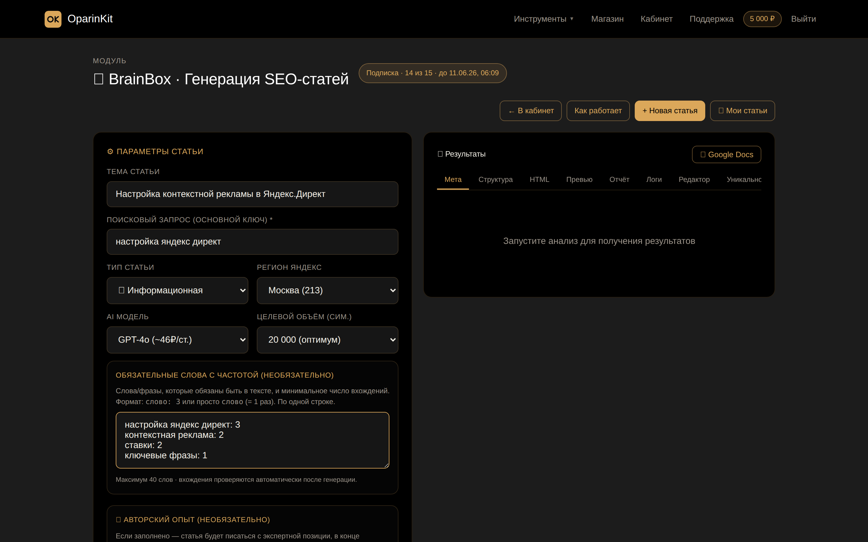 BrainBox · форма с темой, запросом и списком обязательных слов